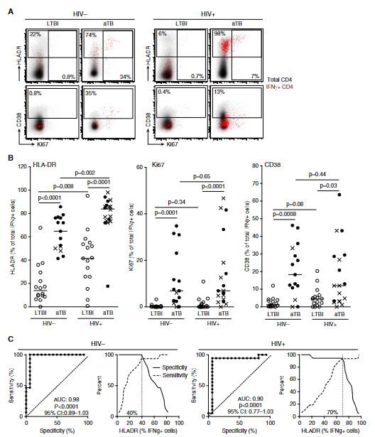 Comparison of the activation profile of IFN-g1