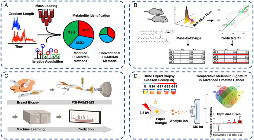 Liquid chromatography–mass spectrometry (LC–MS) and AIMS methods combined with machine learning (ML) for in vitro diagnosis (IVD). (A) An automated approach coupled higher‐throughput LC‐MS metabolomics with a localized ML model for evaluating coverage of the plasma metabolome.⁸³ Copyright 2021, American Chemical Society. (B) A retention time model based on ML approaches for the assignment of lipid structures and automated annotation of lipidomics data