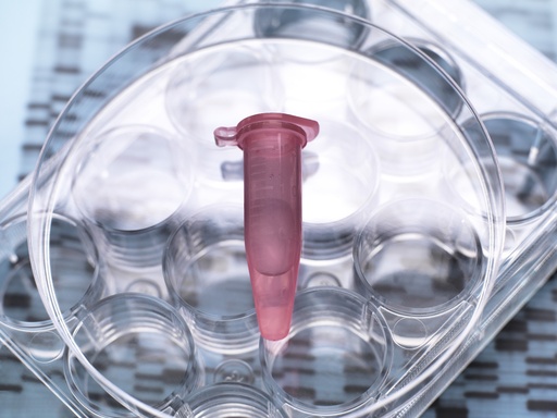 [GEN - BXP2100-CRE] pHTS-hygro-CRE